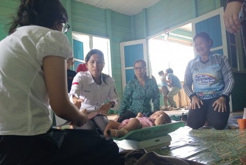 Posyandu nasional 
